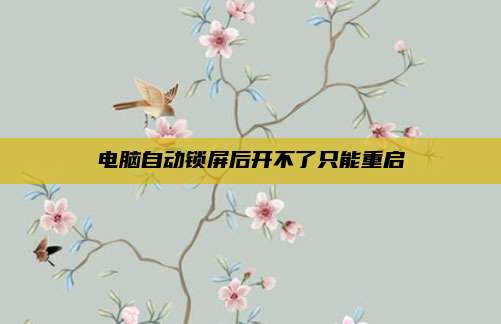 电脑自动锁屏后开不了只能重启
