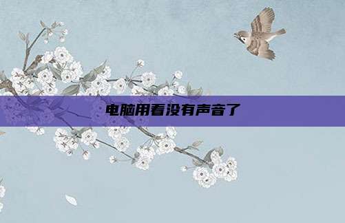 电脑用着没有声音了
