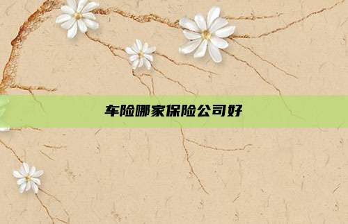 车险哪家保险公司好