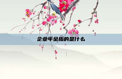 企业年金指的是什么