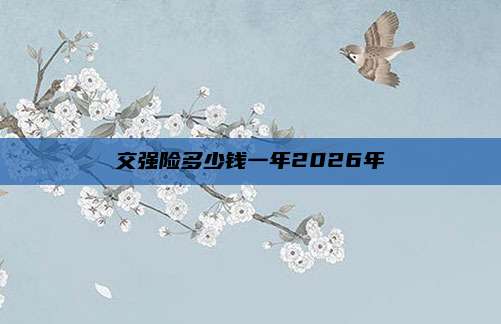 交强险多少钱一年2026年