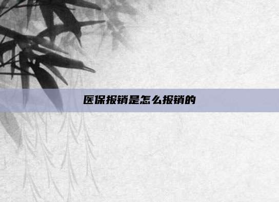 医保报销是怎么报销的