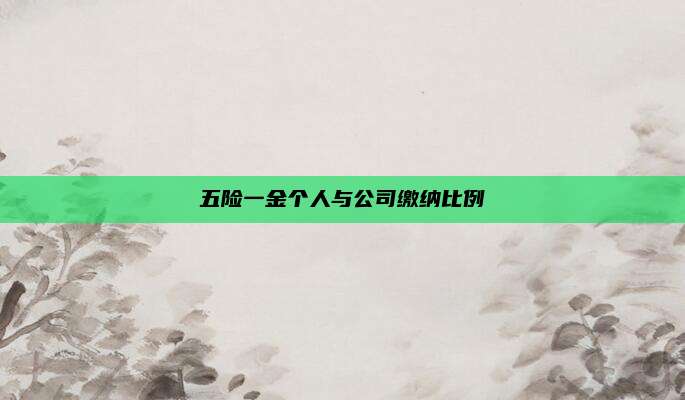 五险一金个人与公司缴纳比例