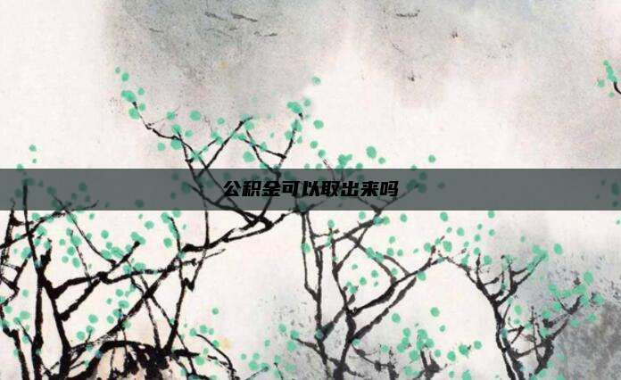 公积金可以取出来吗