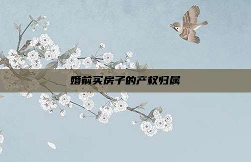 婚前买房子的产权归属