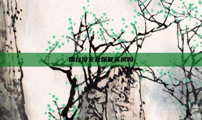 烟台没交社保能买房吗