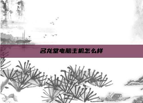 名龙堂电脑主机怎么样