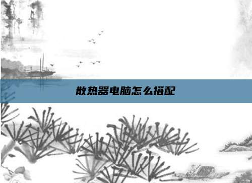 散热器电脑怎么搭配