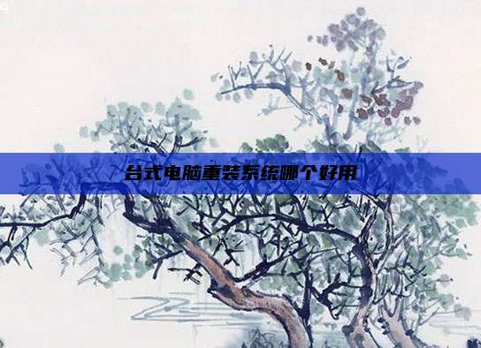 台式电脑重装系统哪个好用