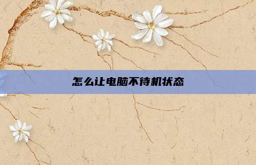 怎么让电脑不待机状态