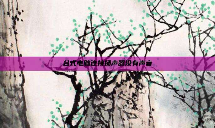 台式电脑连接扬声器没有声音