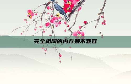 完全相同的内存条不兼容