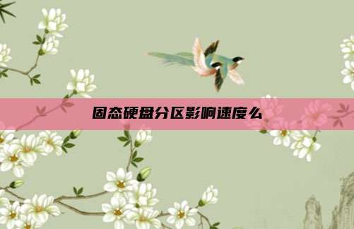 固态硬盘分区影响速度么