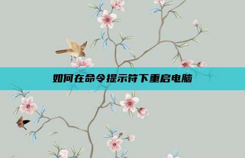 如何在命令提示符下重启电脑