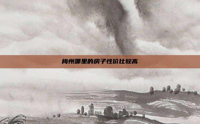 梅州哪里的房子性价比较高
