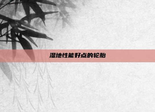 湿地性能好点的轮胎