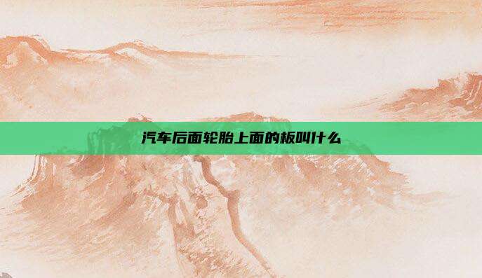汽车后面轮胎上面的板叫什么