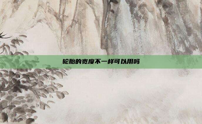 轮胎的宽度不一样可以用吗