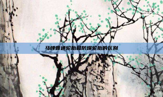 马牌普通轮胎和防爆轮胎的区别