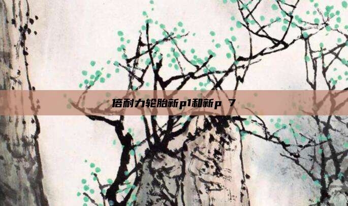 倍耐力轮胎新p1和新p7