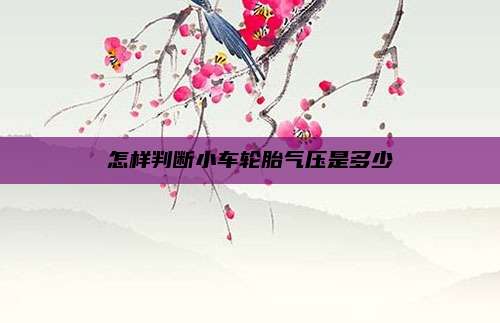 怎样判断小车轮胎气压是多少