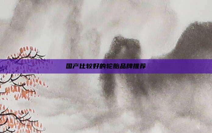 国产比较好的轮胎品牌推荐