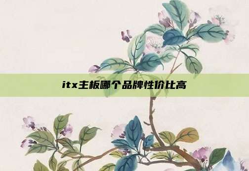 itx主板哪个品牌性价比高