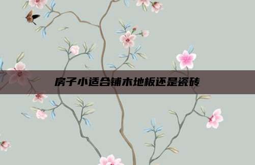 房子小适合铺木地板还是瓷砖