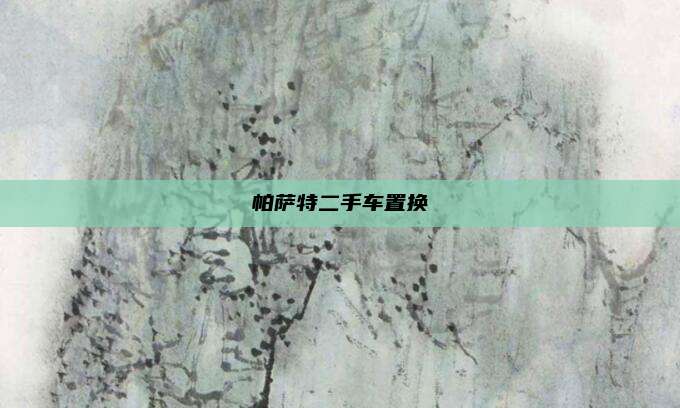 帕萨特二手车置换