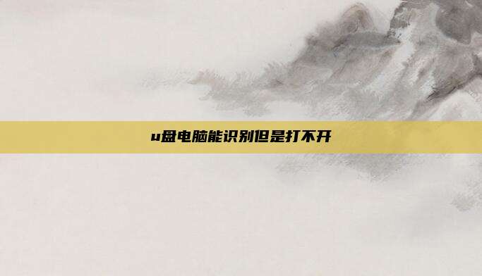 u盘电脑能识别但是打不开