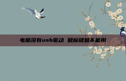 电脑没有usb驱动 鼠标键盘不能用