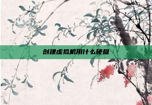 创建虚拟机用什么硬盘