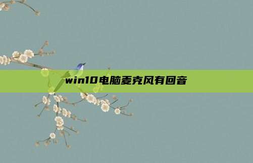 win10电脑麦克风有回音