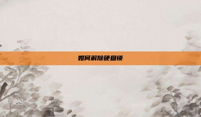 如何解除硬盘锁