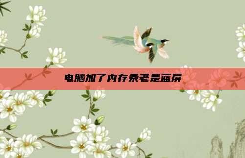 电脑加了内存条老是蓝屏