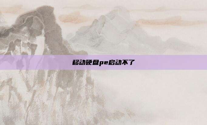 移动硬盘pe启动不了