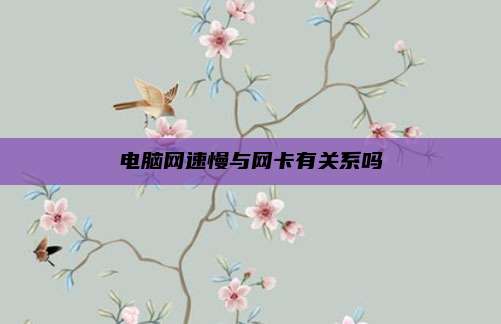 电脑网速慢与网卡有关系吗
