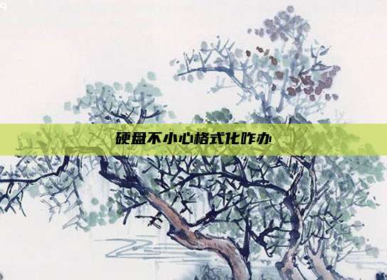 硬盘不小心格式化咋办