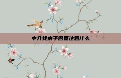 中介找房子需要注意什么