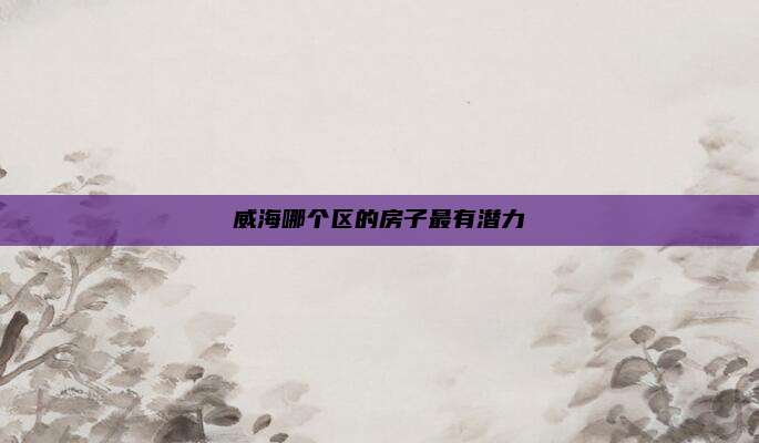 威海哪个区的房子最有潜力