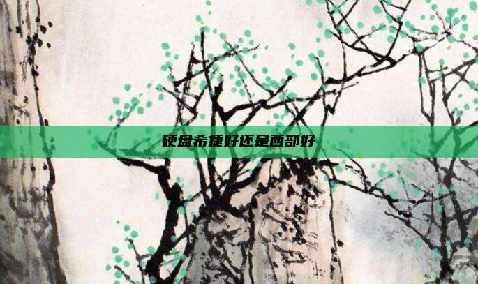 硬盘希捷好还是西部好