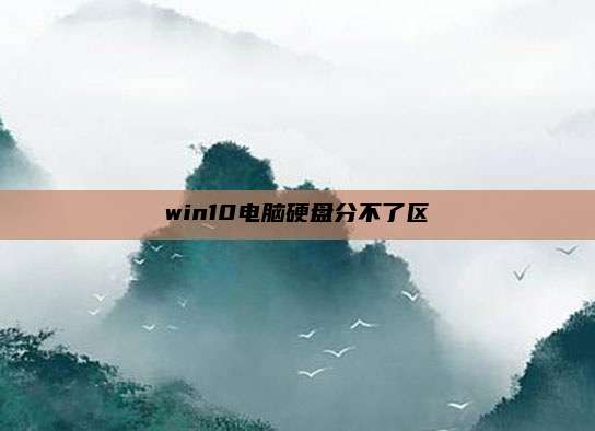 win10电脑硬盘分不了区
