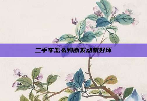 二手车怎么判断发动机好坏