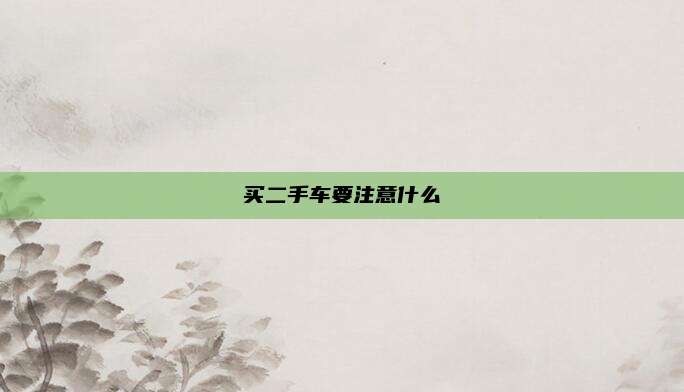 买二手车要注意什么