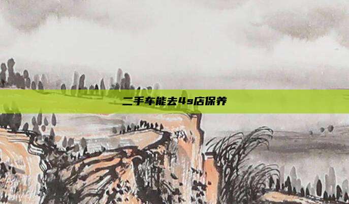 二手车能去4s店保养
