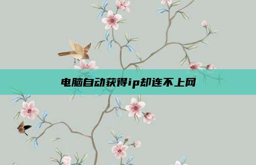 电脑自动获得ip却连不上网
