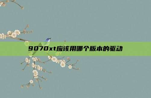 9070xt应该用哪个版本的驱动