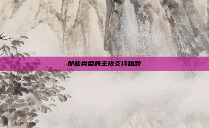 那些类型的主板支持超频