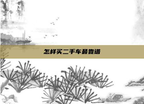 怎样买二手车最靠谱