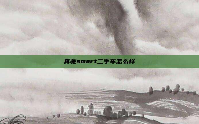 奔驰smart二手车怎么样